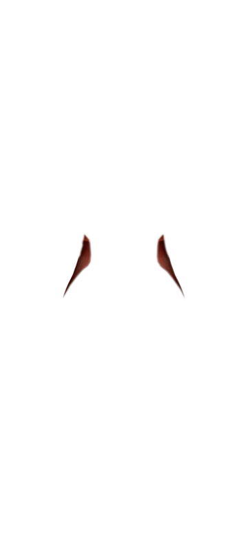 Front view muscle